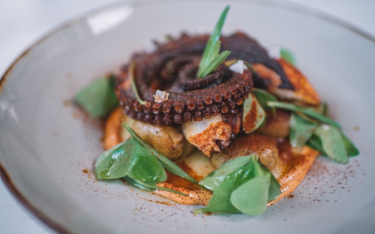 Spanish octopus ONA Canggu Cocobeli