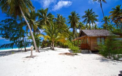 Agusta Eco Resort raja ampat cocobeli